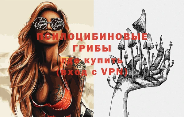 гидра Алзамай