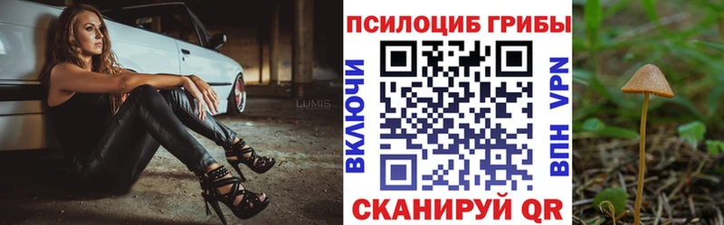 Псилоцибиновые грибы Cubensis  Кулебаки 